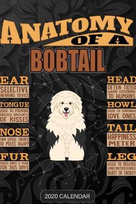 Book cover for Anatomy Of A Bobtail