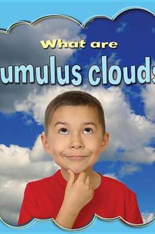 Cover of What are cumulus clouds?