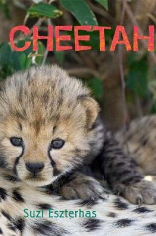 Cover of Cheetah