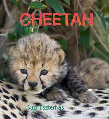 Cover of Cheetah