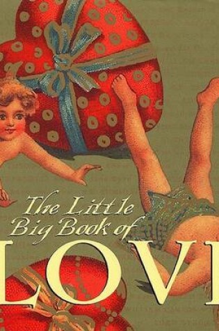 Cover of The Little Big Book of Love