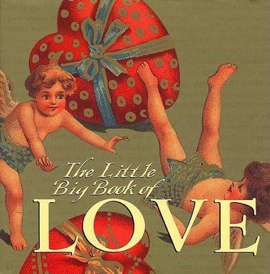 Book cover for The Little Big Book of Love