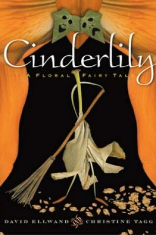 Cover of Cinderlily
