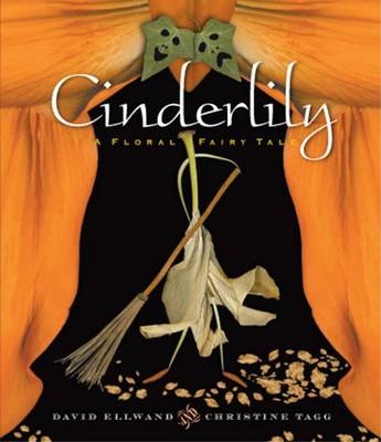 Book cover for Cinderlily