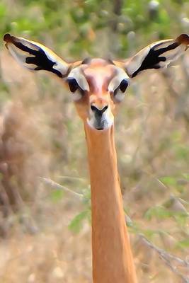 Book cover for A Gerenuk Giraffe Gazelle Journal