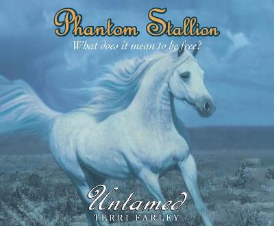 Cover of Phantom Stallion