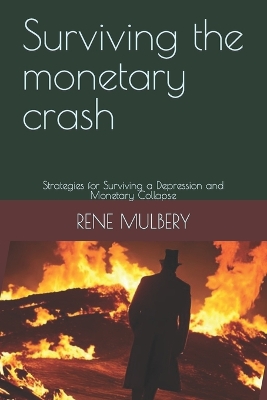 Book cover for Surviving the monetary crash