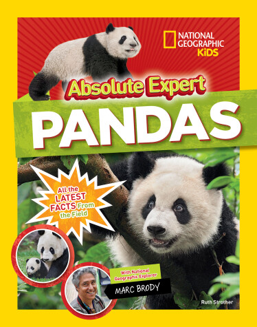 Cover of Absolute expert: Pandas