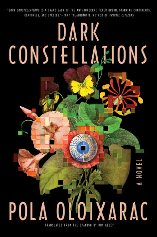 Cover of Dark Constellations