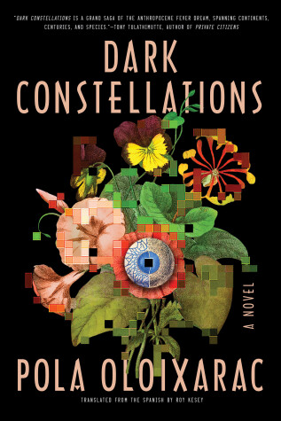 Book cover for Dark Constellations