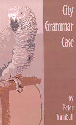 Book cover for City Grammar Case