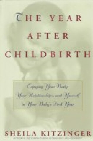 Cover of The Year after Childbirth