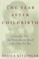 Book cover for The Year after Childbirth