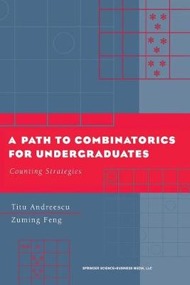 Book cover for A Path to Combinatorics for Undergraduates