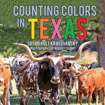 Book cover for Counting Colors in Texas