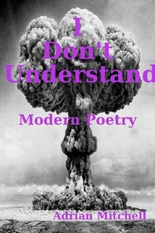 Cover of I Don't Understand