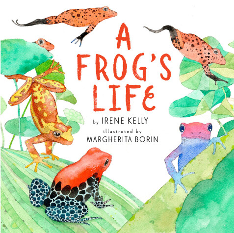 Book cover for A Frog's Life