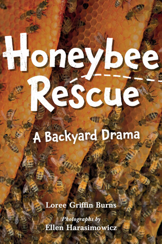 Cover of Honeybee Rescue