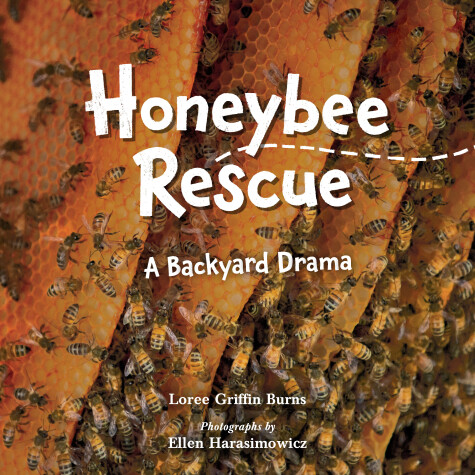 Book cover for Honeybee Rescue