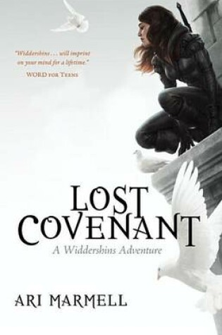 Cover of Lost Covenant