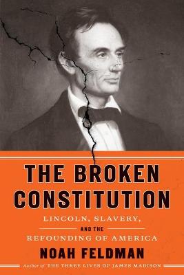 Book cover for The Broken Constitution