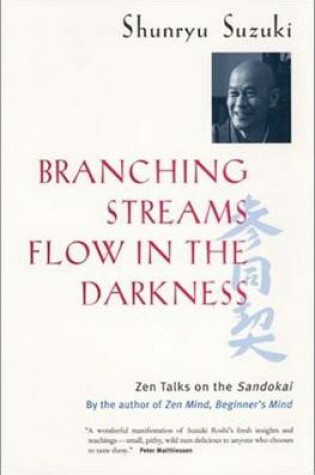 Cover of Branching Streams Flow in the Darkness