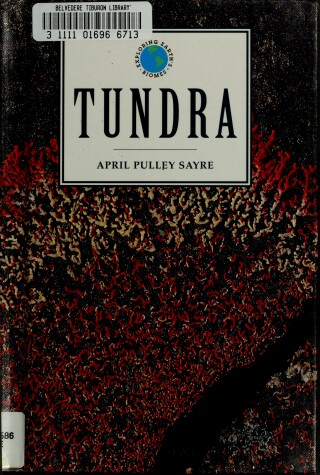 Book cover for Tundra