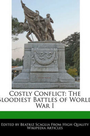 Cover of Costly Conflict