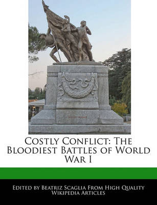 Book cover for Costly Conflict