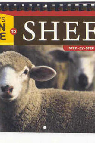Cover of Storey's Barn Guide to Sheep