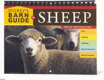Book cover for Storey's Barn Guide to Sheep