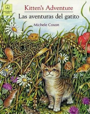 Book cover for Kitten's Adventure/Las Aventuras del Gatito