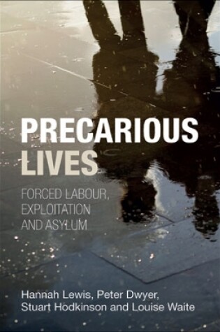 Cover of Precarious Lives