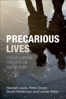 Book cover for Precarious Lives