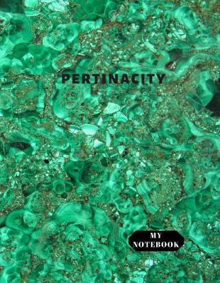 Book cover for My Notebook Pertinacity