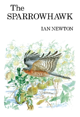 Book cover for The Sparrowhawk