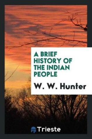 Cover of A Brief History of the Indian People