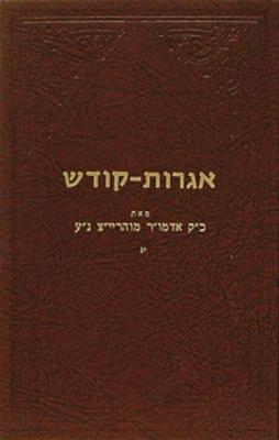 Cover of Igrois Kodesh - Rayatz Vol. 13