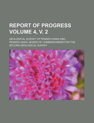 Book cover for Report of Progress Volume 4, V. 2