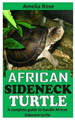 Book cover for African Sideneck Turtle