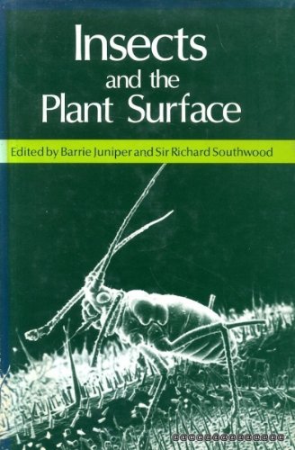 Book cover for Insects and the Plant Surface