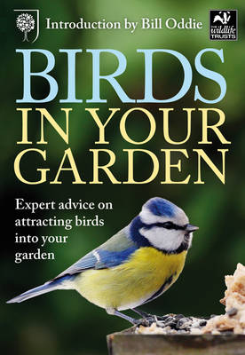Book cover for Birds in Your Garden