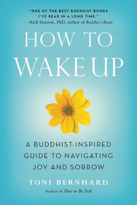 Book cover for How to Wake Up