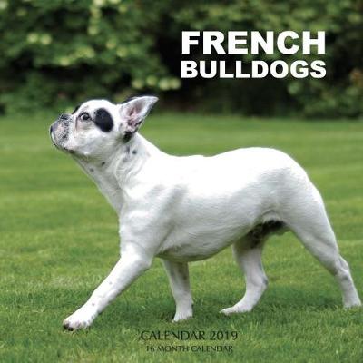 Book cover for French Bulldogs Calendar 2019