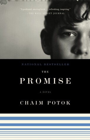 Book cover for The Promise