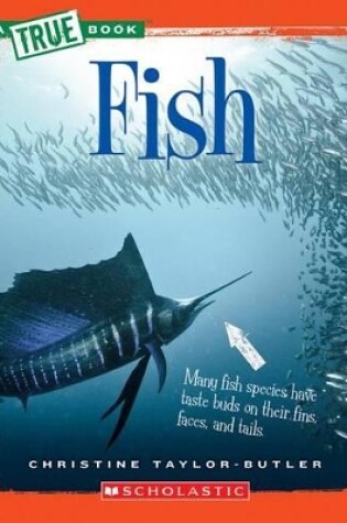 Cover of Fish (a True Book: Animal Kingdom) (Library Edition)