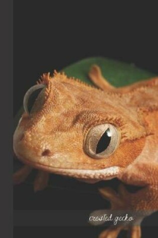 Cover of Crested Gecko