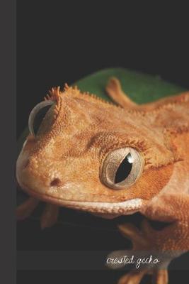 Book cover for Crested Gecko