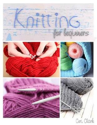 Book cover for Password Book (Knitting for Beginners)