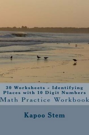 Cover of 30 Worksheets - Identifying Places with 10 Digit Numbers